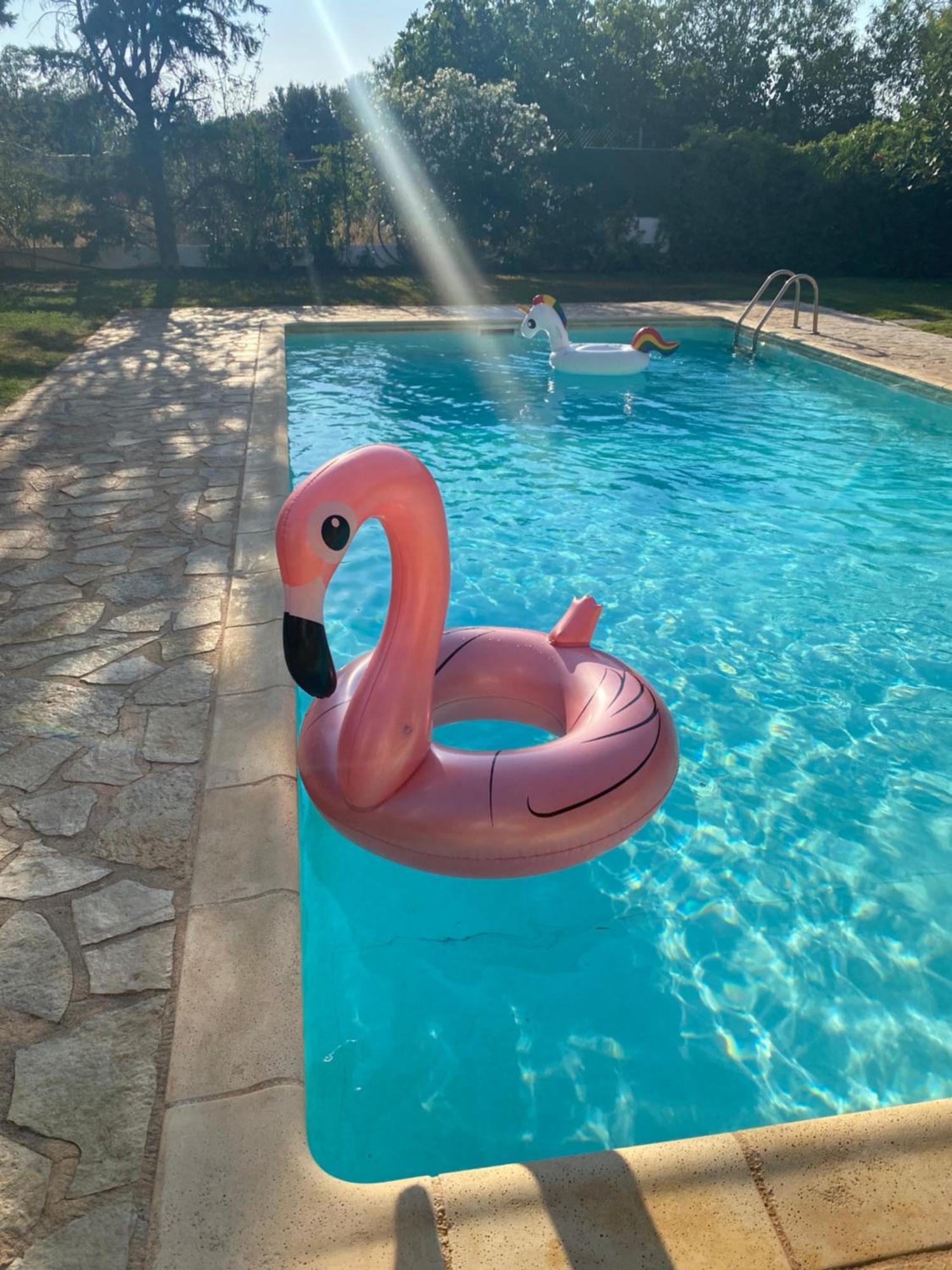 Relaxing Villa With Swimming Pool And Garden Agios Georgios  外观 照片