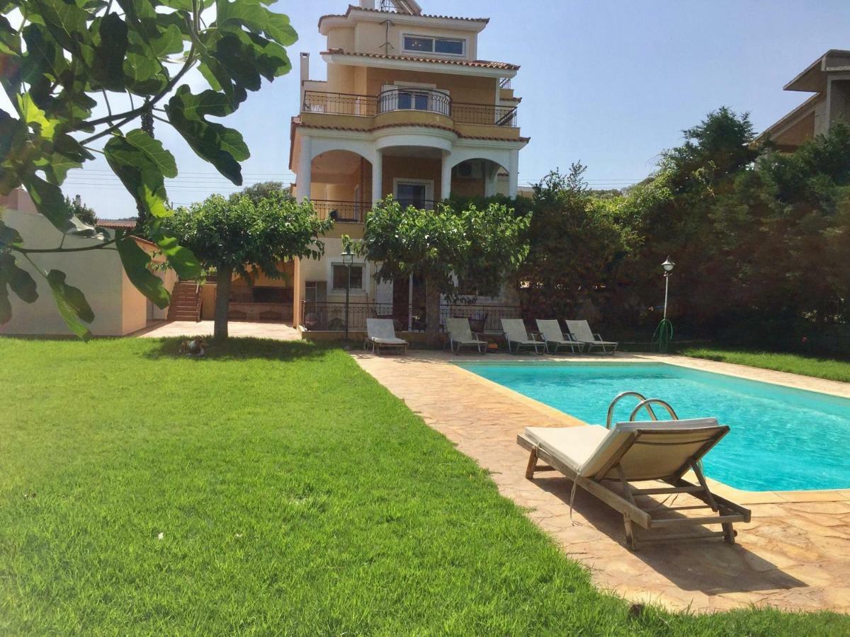 Relaxing Villa With Swimming Pool And Garden Agios Georgios  外观 照片