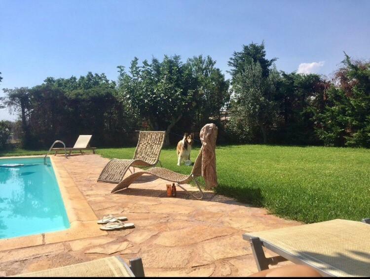 Relaxing Villa With Swimming Pool And Garden Agios Georgios  外观 照片